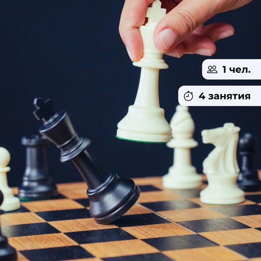 Лабиринты шахмат. Курс по игре в шахматы