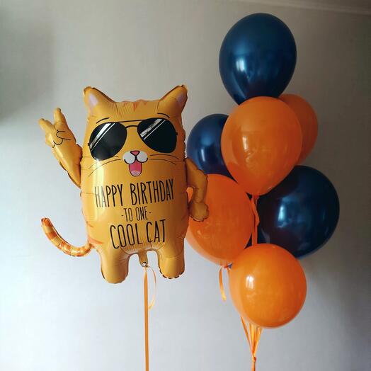 Шары на день рождения мужчине, папе, парню, коллеге, другу, сыну, брату кот Happy birthday