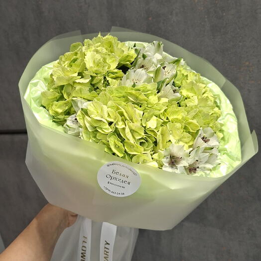 Букет из салатовые гортензий с белой альстромерией