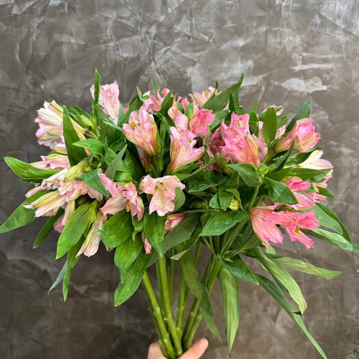 Нежно-розовый букет альстромерии