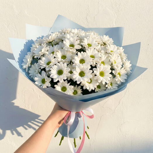 Монобукет из 25 белых хризантем Белоснежная Нежность
