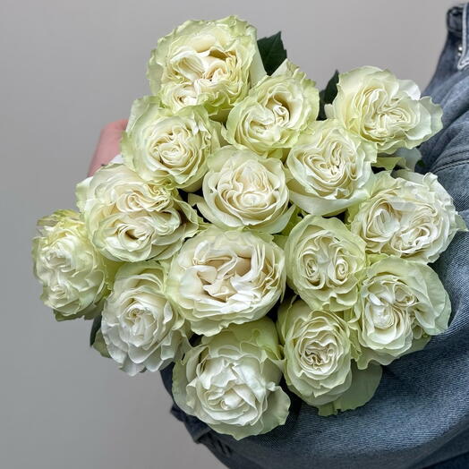 Роза Эквадор 15 белые