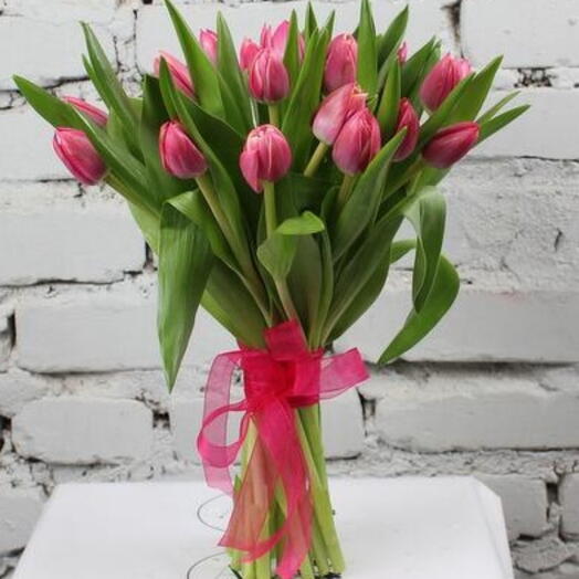 21 tulipán rosa