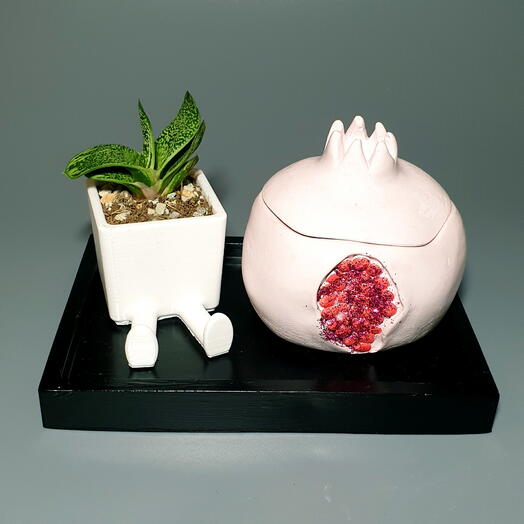 Красивый подарок: суккулент Гастерия и аромасвеча