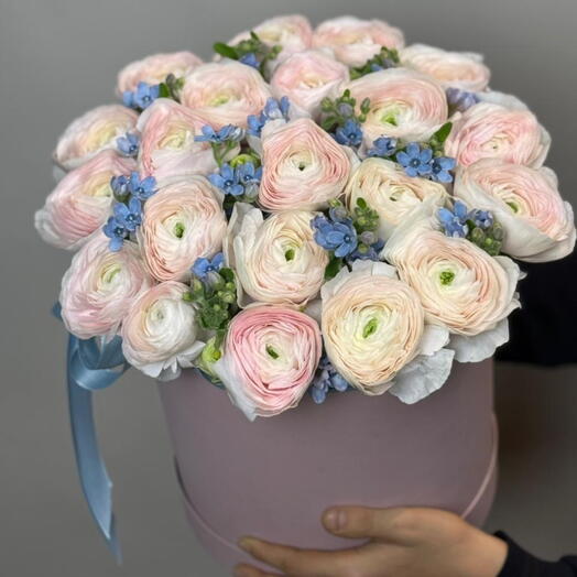 Ранункулюсы с оксипеталумом