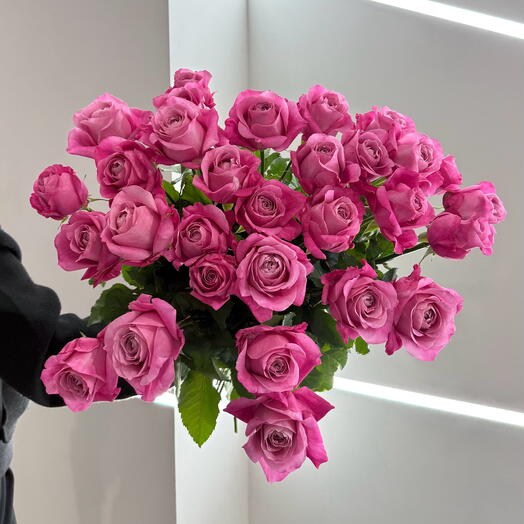 Pink premium rose