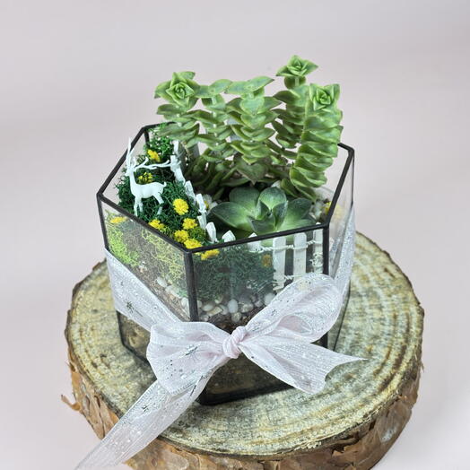 Флорариум граненый с суккулентами - поле одуванчиков ️