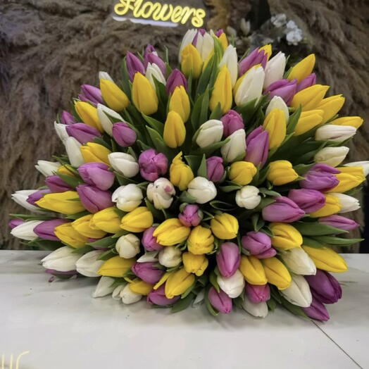 Тюльпановая симфония