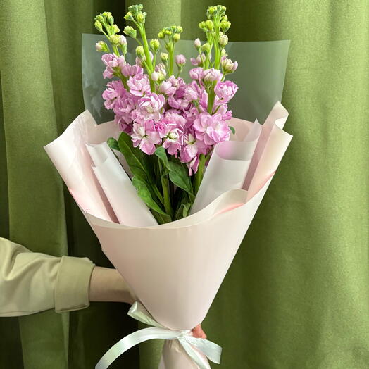 Шепот зари