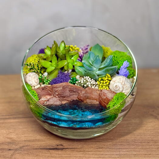 Флорариум S. Полусфера