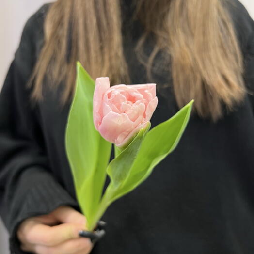 VL FLOWERS
