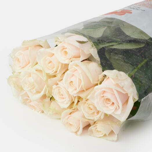 Пачка роз (15 штук) Лавли Аваланш, 50 см