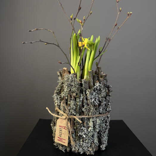 Композиция в кашпо из веточек с Нарциссами