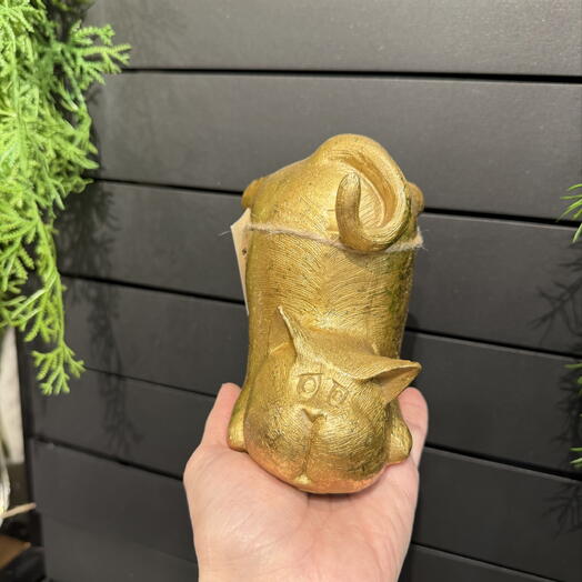 Котик золотой 2