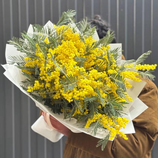 Букет мимозы «Солнечное настроение»