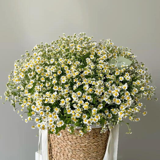 Корзина  с ромашками