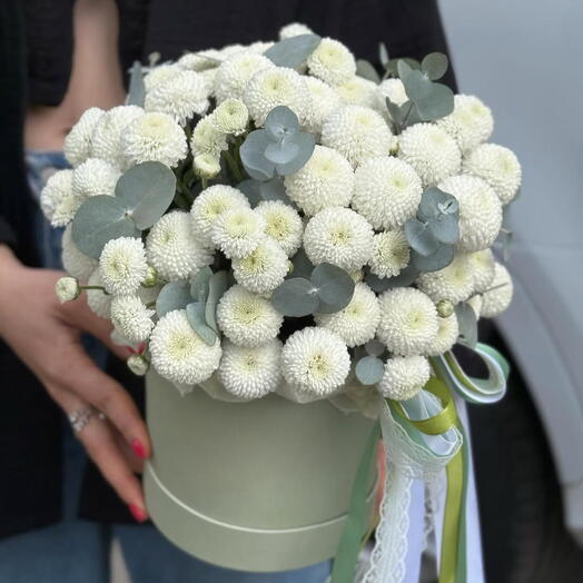 Коробка из белоснежных хризантем Ньютон с веточками эвкалипта