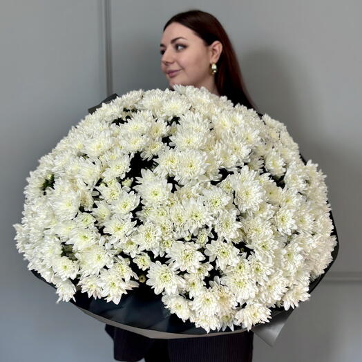 51 белая кустовая хризантема Балтика