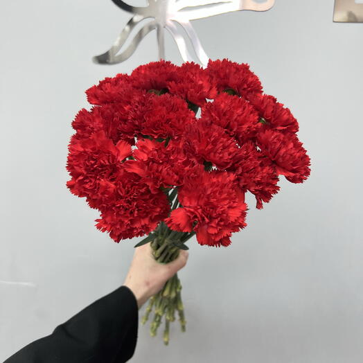 Красные гвоздики 16 штук