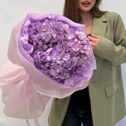 Гортензия Purple