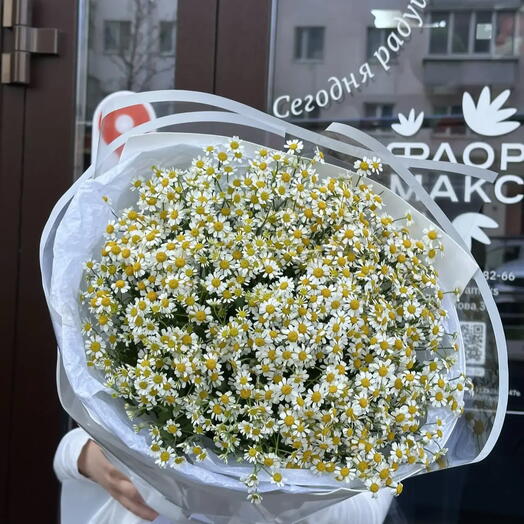 Полевой букетик