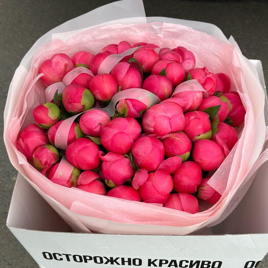 Пионовая нежность