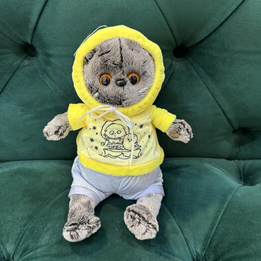 Кот Басик