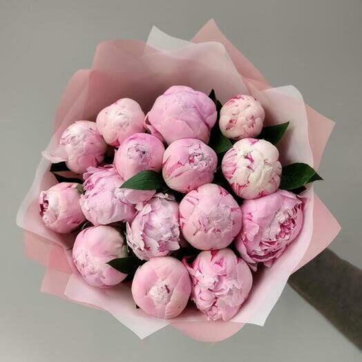 15 пионов Сара Бернар peony