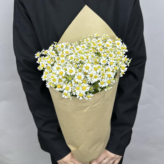 Упаковка ромашек (10 шт)