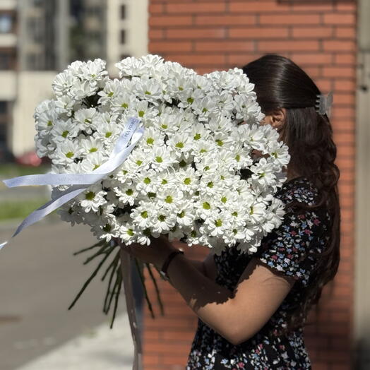 Охапка хризантем ромашковых букет ромашек