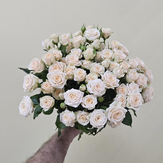 Розы кустовые 9шт
