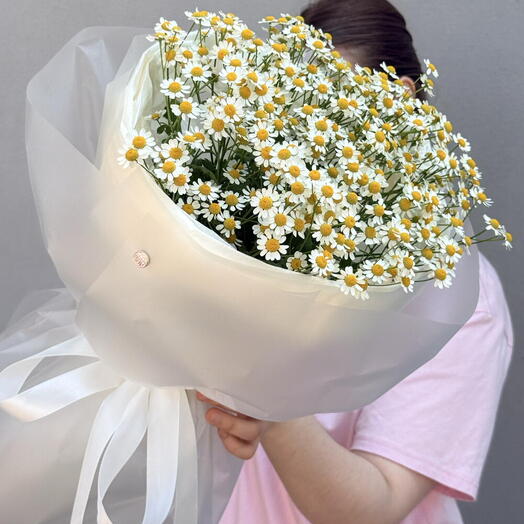 Букет ромашек 💐