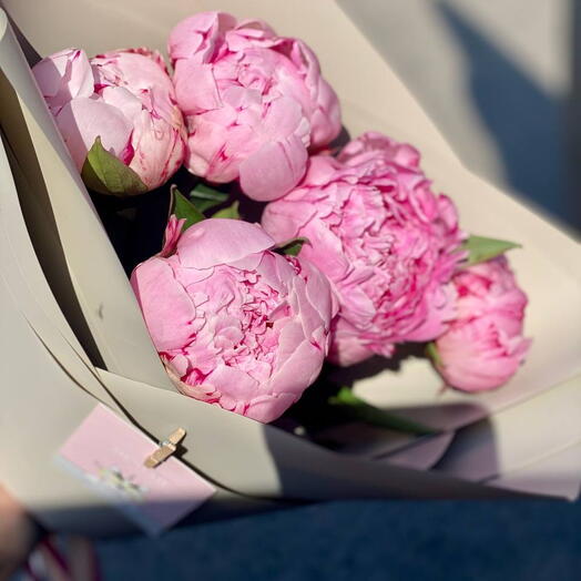 Пионы Сара Бернар в упаковке для неё💕