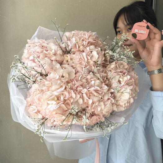 Букет из розовой гортензии + подарок от Vivienne Sabo — румяна MACARON
