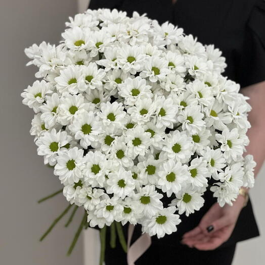 15 кустовых ромашковидных хризантем под ленту🌼