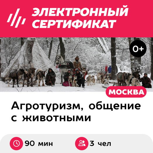 Подарочный сертификат Экскурсия к северным оленям и собакам, 2 взрослых+1 ребенок в будний день