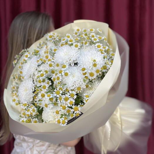 Ромашки и хризантемы