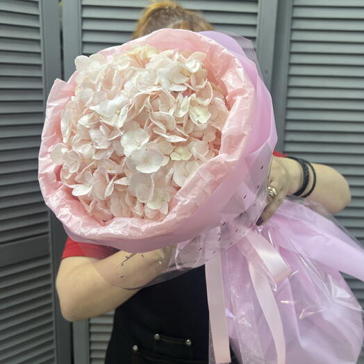 Нежная гортензия 💝