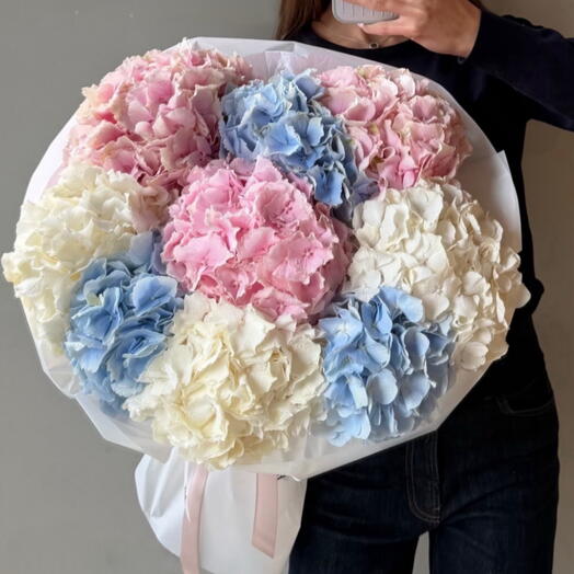 Hydrangea hug