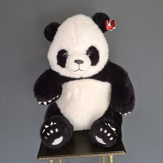 Панда 🐼