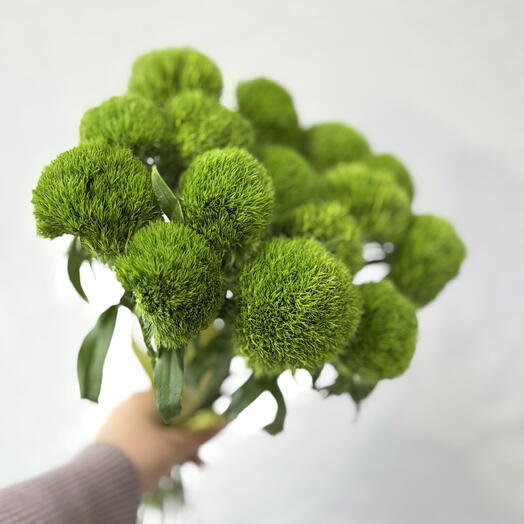 Green Trick