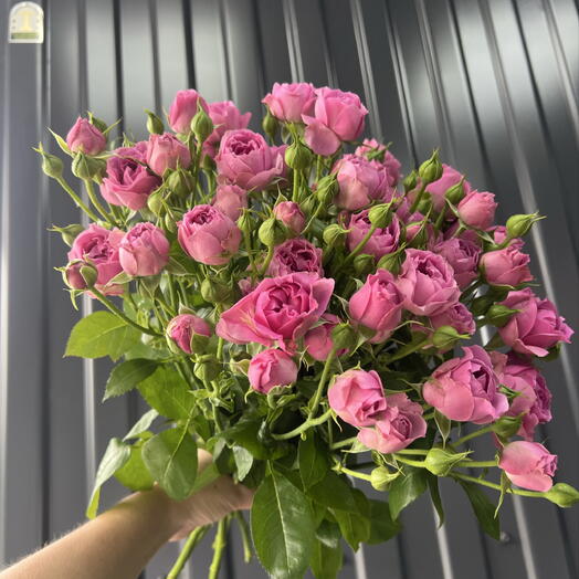 Мисти 🔥💐