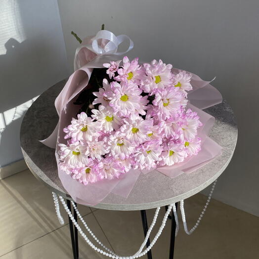 Моно хризантем🌸