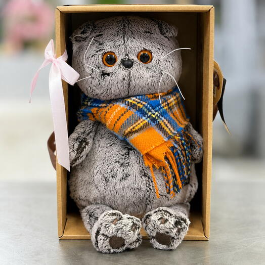 Кот басик в шарфе