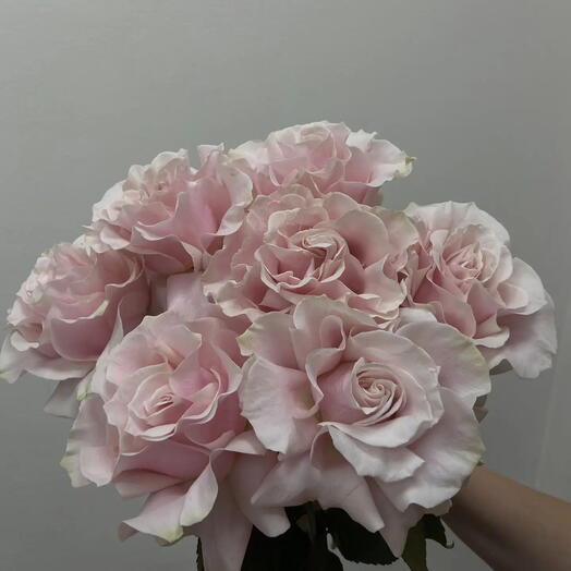 Букет из нежно-розовых роз под ленту 💖