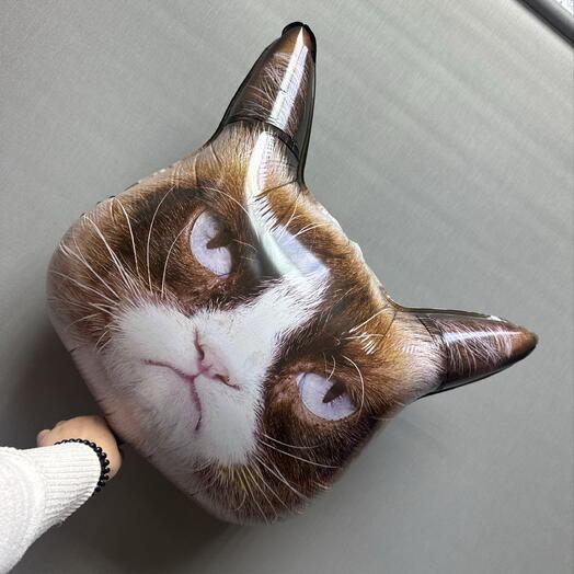 Шар недовольный кот 66 см