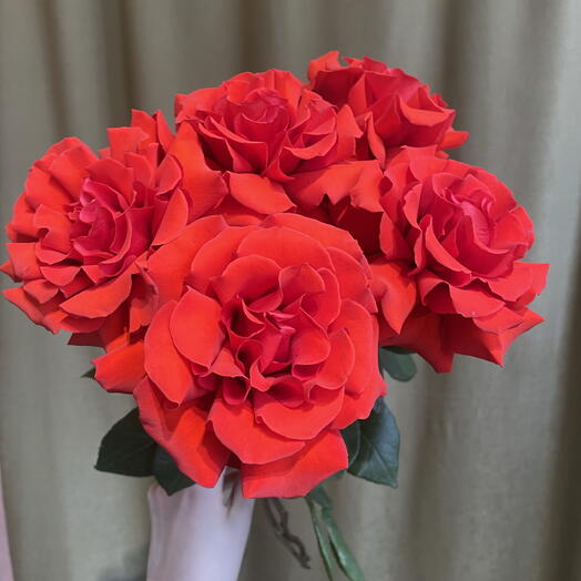 Моно-букет из 5 алых роз