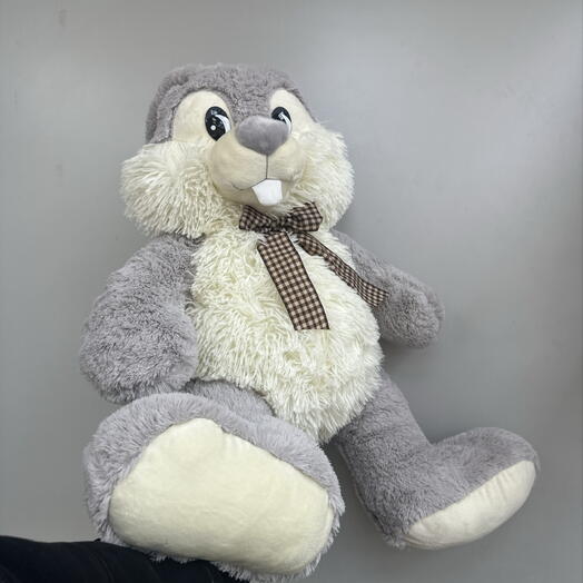 Кролик