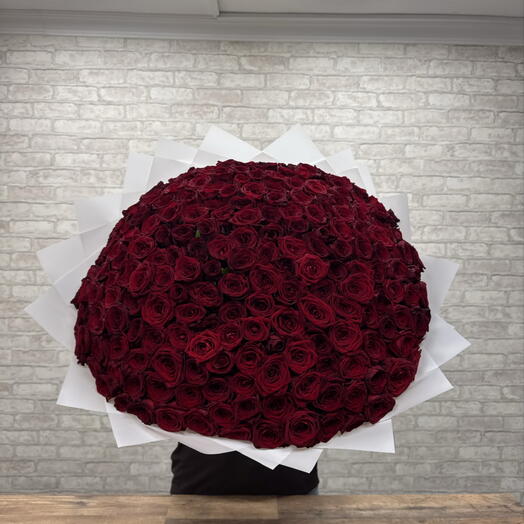 Большой букет красных роз в белой упаковке 🌹🌹🌹