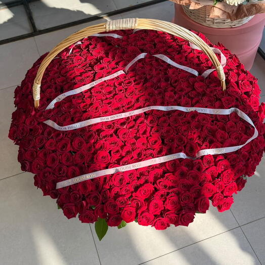 Корзина из 501 красной розы